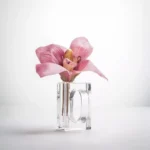 Acrylic Napkin Ring / Bud Vase Combo (Set of 12)