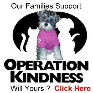 A small dog wearing a pink shirt promotes Operation Kindness, encouraging families to support the cause. Text invites viewer engagement.